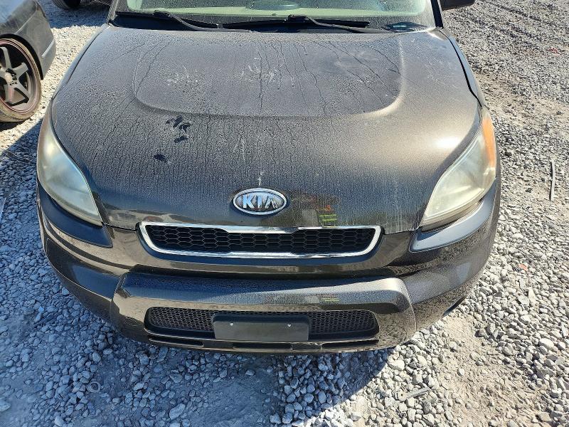 Продажа на аукционе авто 2011 Kia Soul, vin: KNDJT2A27B7273955, номер лота: 69209746