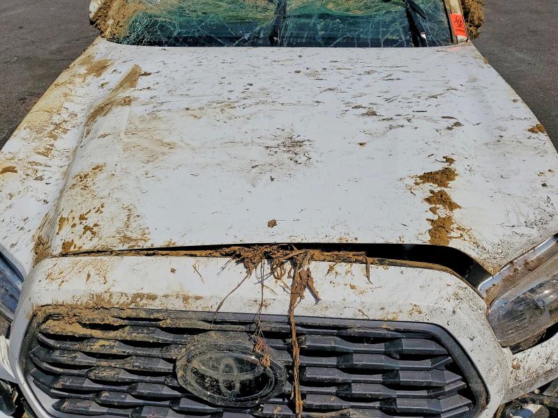 2023 Toyota Tacoma მანქანა იყიდება აუქციონზე, vin: 3TMCZ5AN1PM614086, აუქციონის ნომერი: 67494956