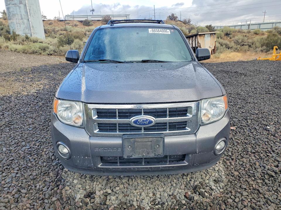 2010 Ford Escape მანქანა იყიდება აუქციონზე, vin: 1FMCU9D71AKC28474, აუქციონის ნომერი: 66584006
