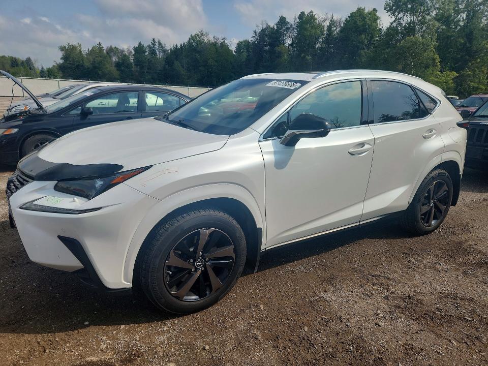 2020 Lexus Nx მანქანა იყიდება აუქციონზე, vin: JTJGARDZ6L2229491, აუქციონის ნომერი: 67428606