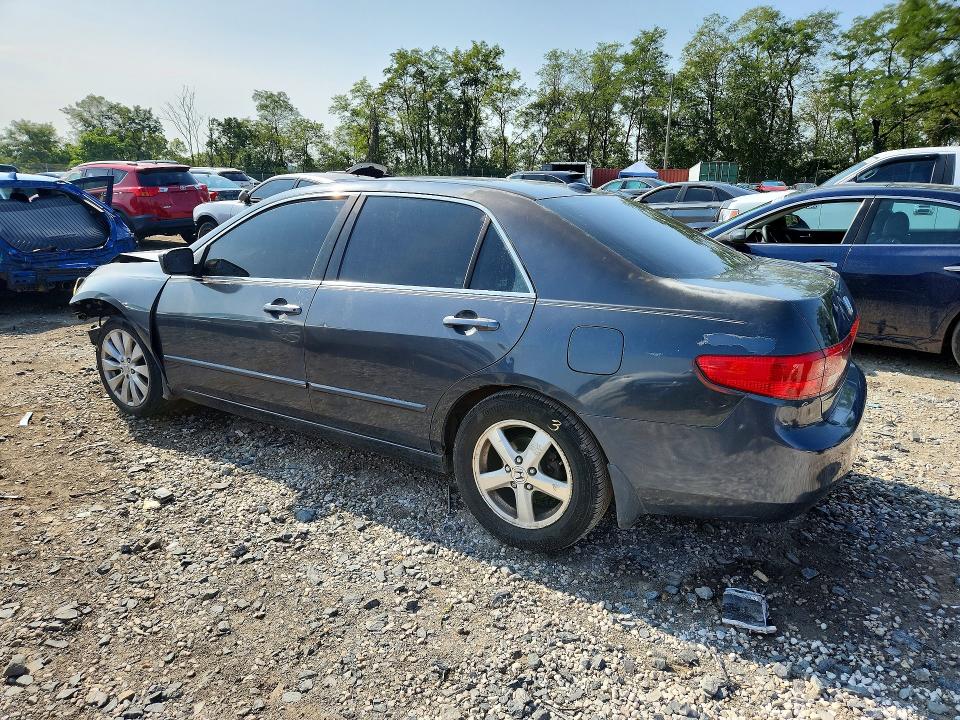 2005 Honda Accord მანქანა იყიდება აუქციონზე, vin: 1HGCM56865A053106, აუქციონის ნომერი: 69395086