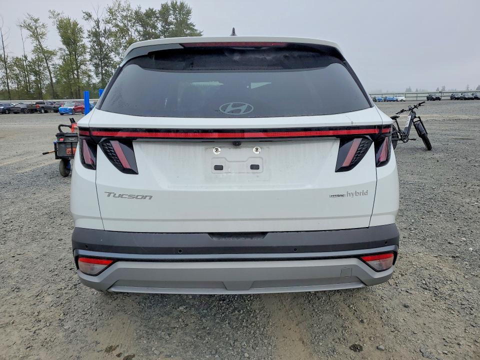 2025 Hyundai Tucson მანქანა იყიდება აუქციონზე, vin: KM8JEDD15SU290095, აუქციონის ნომერი: 69815426