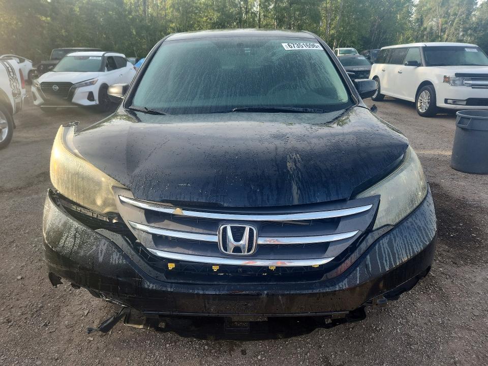 67351696 :رقم المزاد ، 2HKRM3H3XEH003350 vin ، 2014 Honda Cr-v مزاد بيع