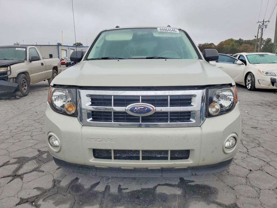 Продаж на аукціоні авто 2009 Ford Escape, vin: 1FMCU03759KD04237, номер лоту: 69964546
