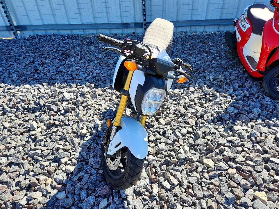70067646 :رقم المزاد ، MLHJC9218S5306811 vin ، 2025 Honda Grom مزاد بيع