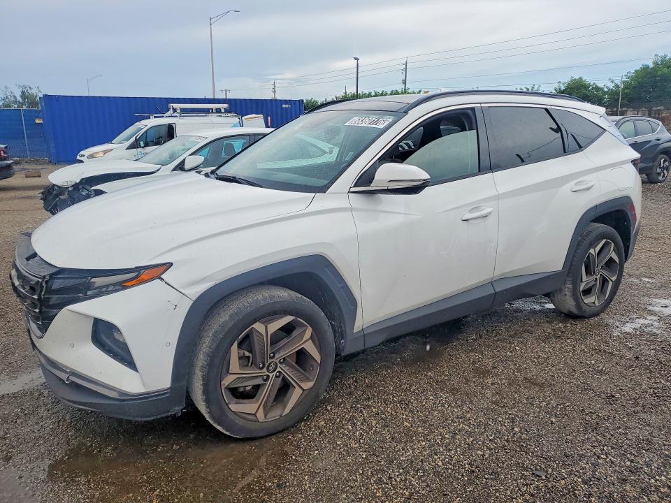 Auction sale of the 2023 Hyundai Tucson, vin: 5NMJECAE2PH203760, lot number: 68360176