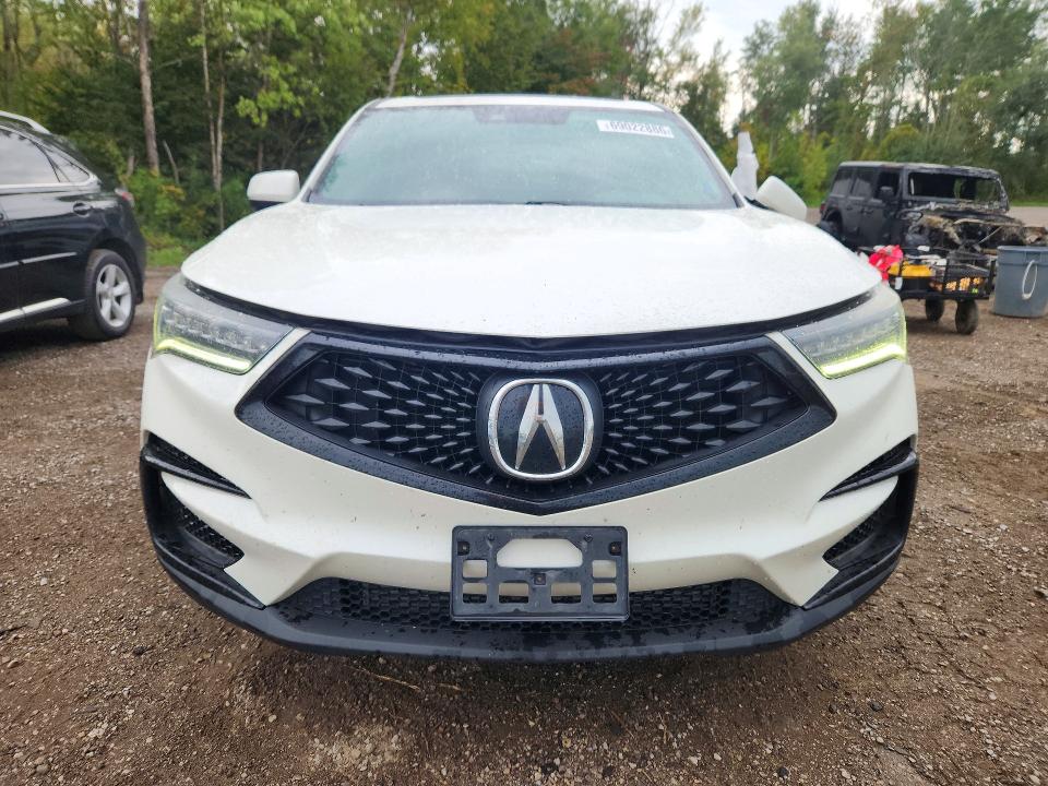 69022886 :رقم المزاد ، 5J8TC2H63KL808113 vin ، 2019 Acura Rdx مزاد بيع