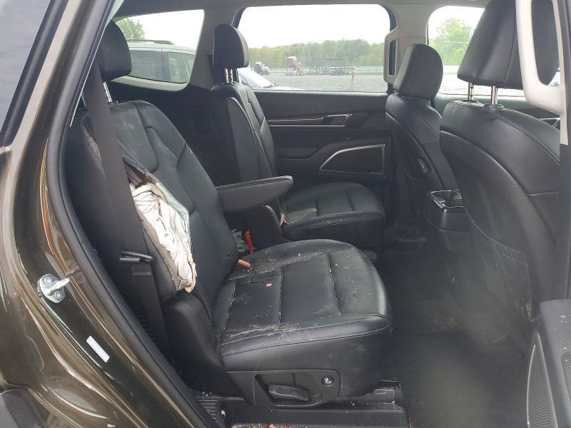 Продаж на аукціоні авто 2025 Kia Telluride, vin: 5XYP6DGC8SG625344, номер лоту: 67432496