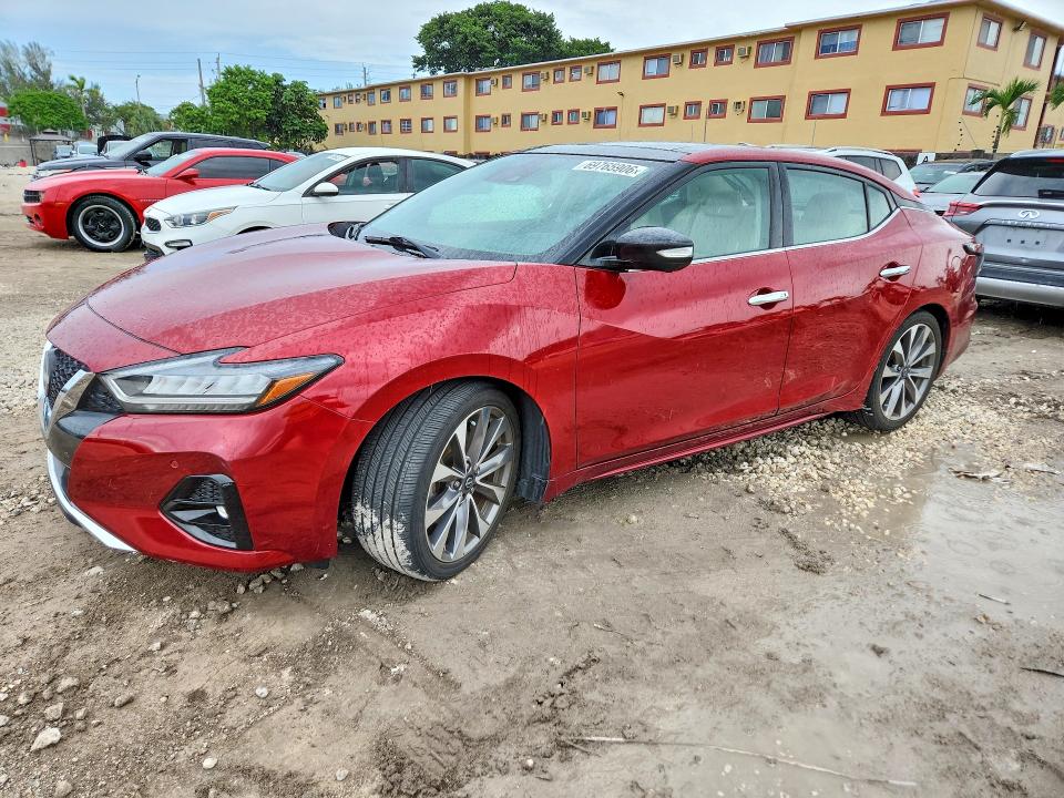 Auction sale of the 2023 Nissan Maxima, vin: 1N4AA6FV8PC507847, lot number: 69765906
