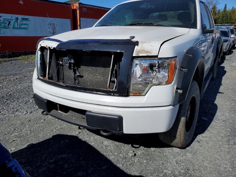 Auction sale of the 2011 Ford F150, vin: 1FTEX1EM4BFD16732, lot number: 68549586