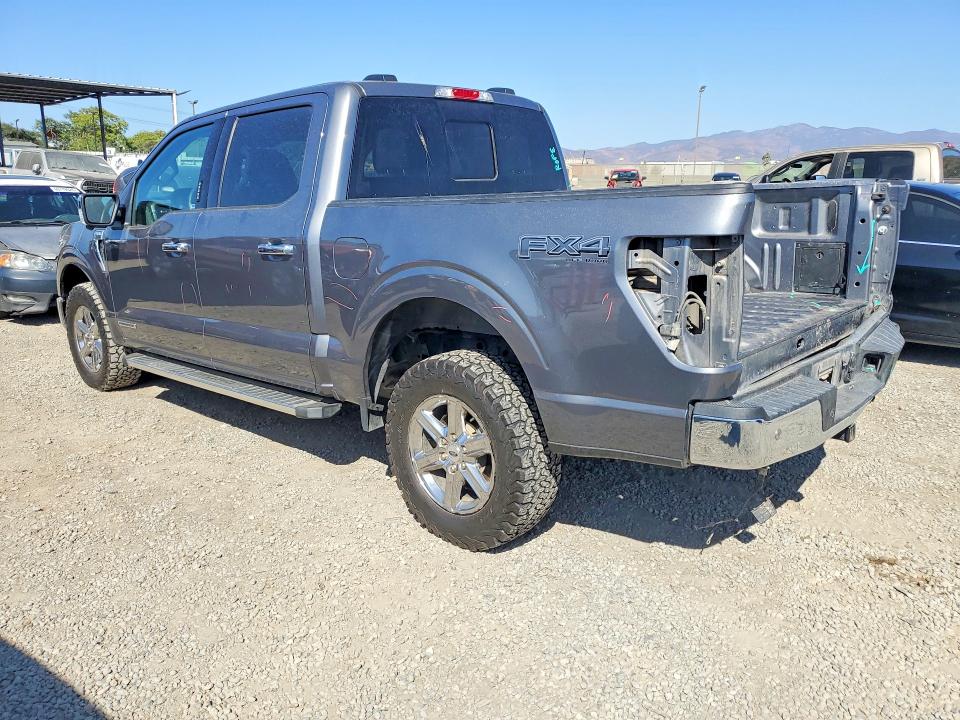 Продаж на аукціоні авто 2024 Ford F150, vin: 1FTFW3LDXRFB22562, номер лоту: 69578436