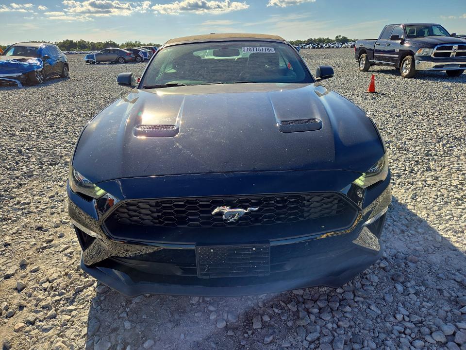 70775776 :رقم المزاد ، 1FATP8UH0K5181734 vin ، 2019 Ford Mustang مزاد بيع