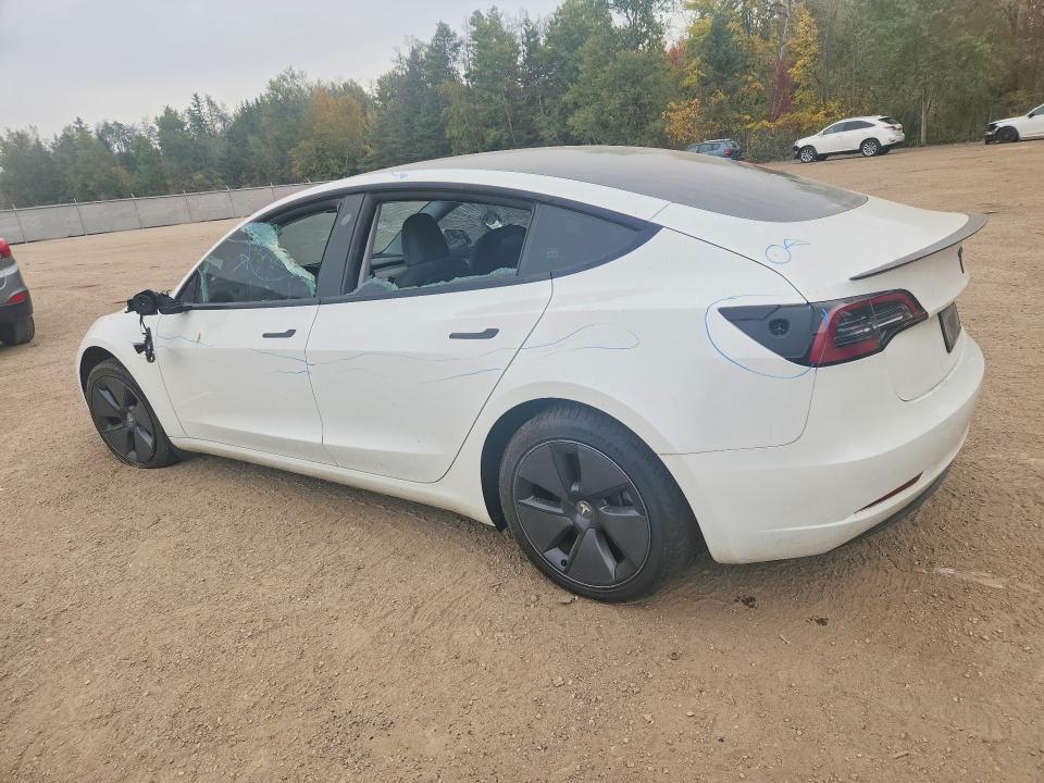 Aukcja sprzedaży 2023 Tesla Model 3, vin: LRW3E1EB6PC923426, numer aukcji: 69703456