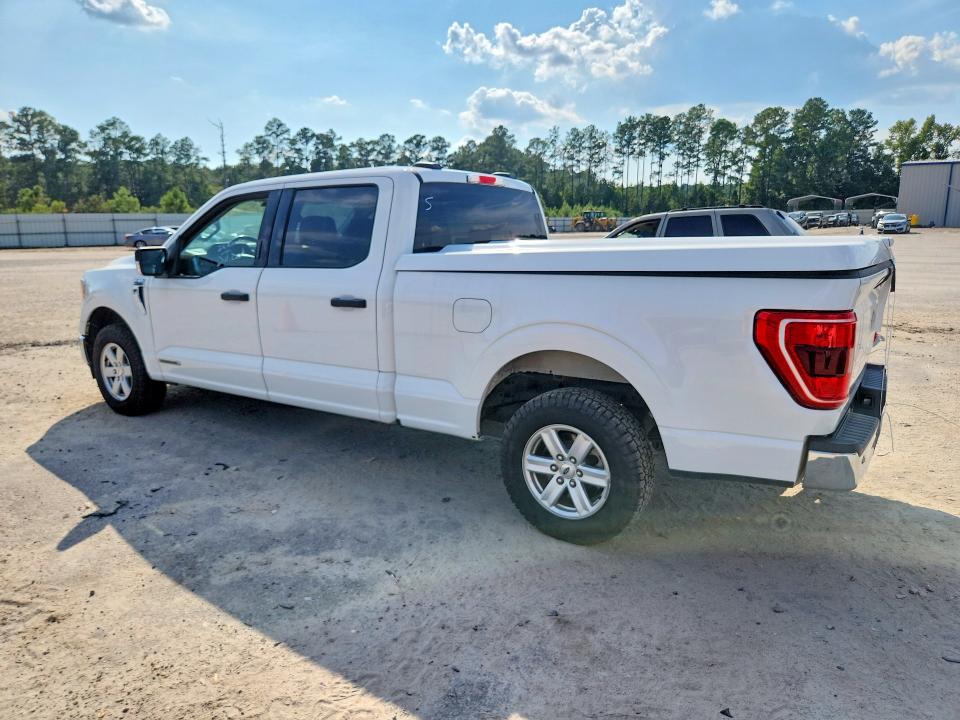 Продаж на аукціоні авто 2021 Ford F150, vin: 1FTFW1CD0MFD13257, номер лоту: 67345996