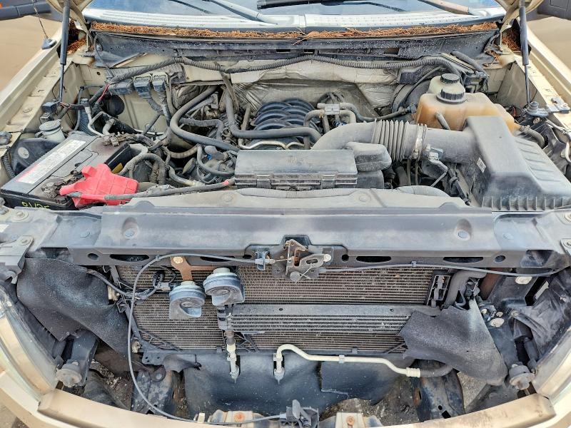 Продажа на аукционе авто 2013 Ford F150, vin: 1FTFX1EF7DFA51118, номер лота: 69434906