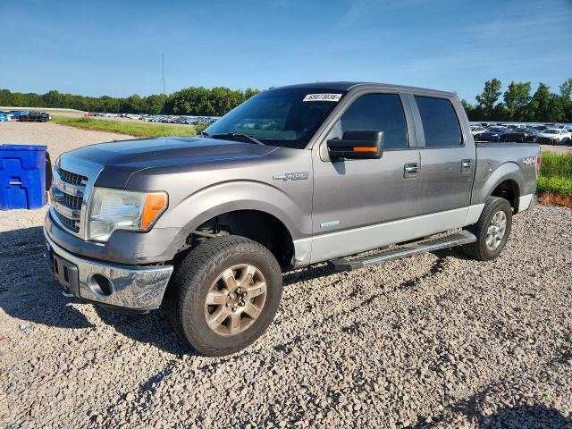 Auction sale of the 2013 Ford F150, vin: 1FTFW1ET4DKE59592, lot number: 69073036