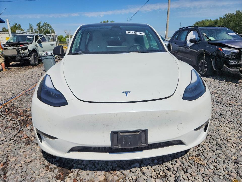 2024 Tesla Model Y მანქანა იყიდება აუქციონზე, vin: 7SAYGDEE7RA258332, აუქციონის ნომერი: 67330606
