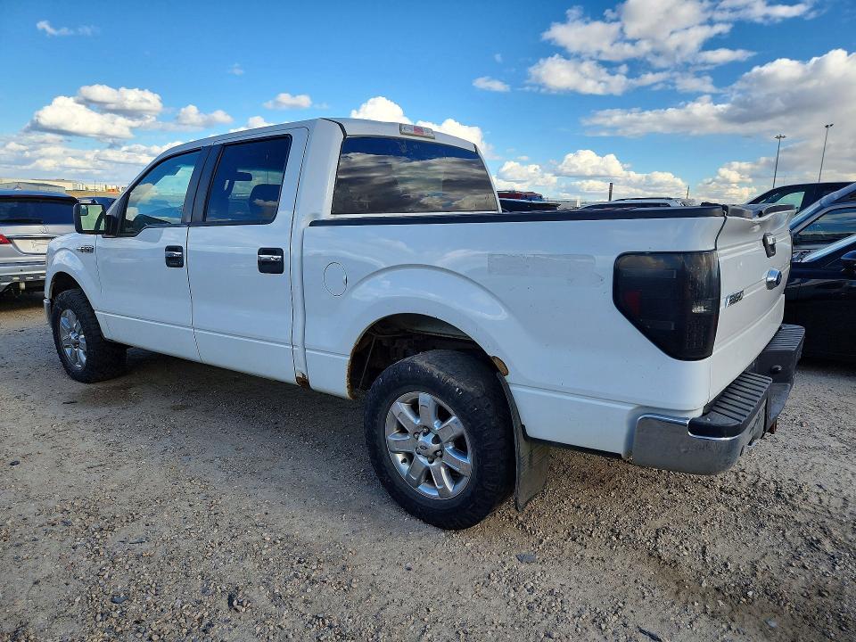 70802606 :رقم المزاد ، 1FTFW1ET8EFC45361 vin ، 2014 Ford F150 مزاد بيع