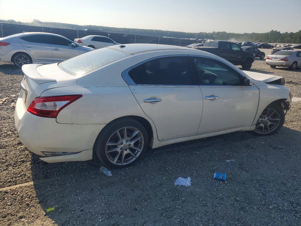 Продажа на аукционе авто 2009 Nissan Maxima, vin: 1N4AA51E09C820735, номер лота: 67902776
