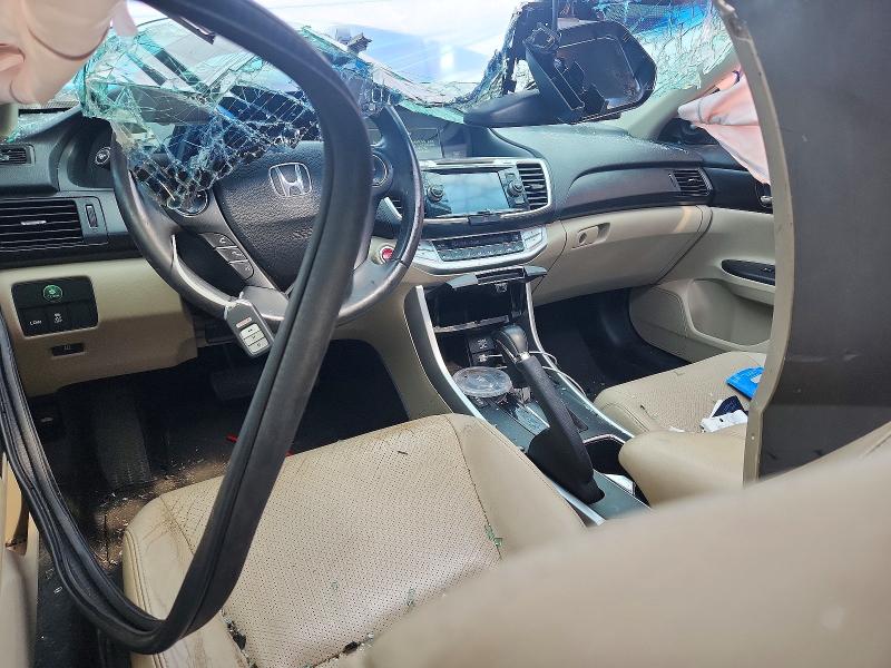68754236 :رقم المزاد ، 1HGCR2F86DA146688 vin ، 2013 Honda Accord مزاد بيع