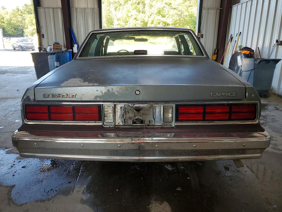 Продажа на аукционе авто 1988 Chevrolet Caprice, vin: 1G1BL51H6JA101209, номер лота: 67263006