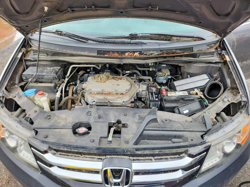Продажа на аукционе авто 2016 Honda Odyssey, vin: 5FNRL5H31GB150849, номер лота: 70503926
