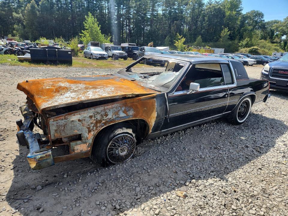68597196 :رقم المزاد ، 1G6AL5797BE618437 vin ، 1981 Cadillac Eldorado مزاد بيع