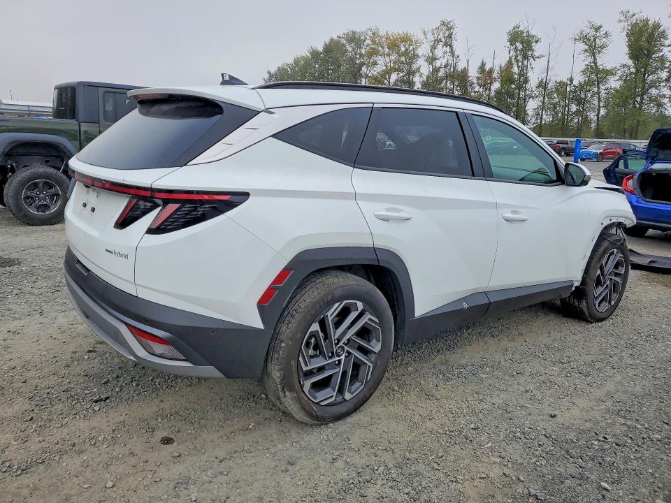 2025 Hyundai Tucson მანქანა იყიდება აუქციონზე, vin: KM8JEDD15SU290095, აუქციონის ნომერი: 69815426