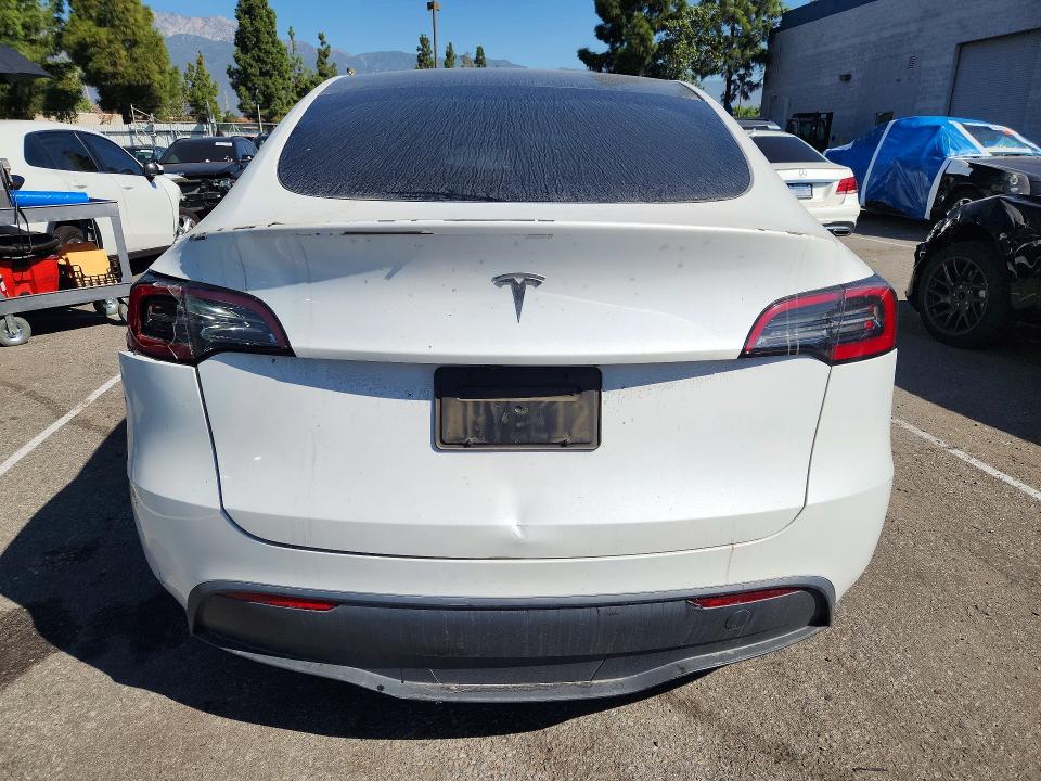 Продаж на аукціоні авто 2021 Tesla Model Y, vin: 7SAYGDED8RF008883, номер лоту: 69648576