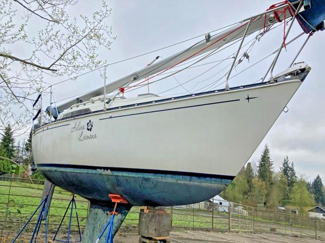 1984 Sail Boat Boat მანქანა იყიდება აუქციონზე, vin: ZCC25693M81L, აუქციონის ნომერი: 70794596