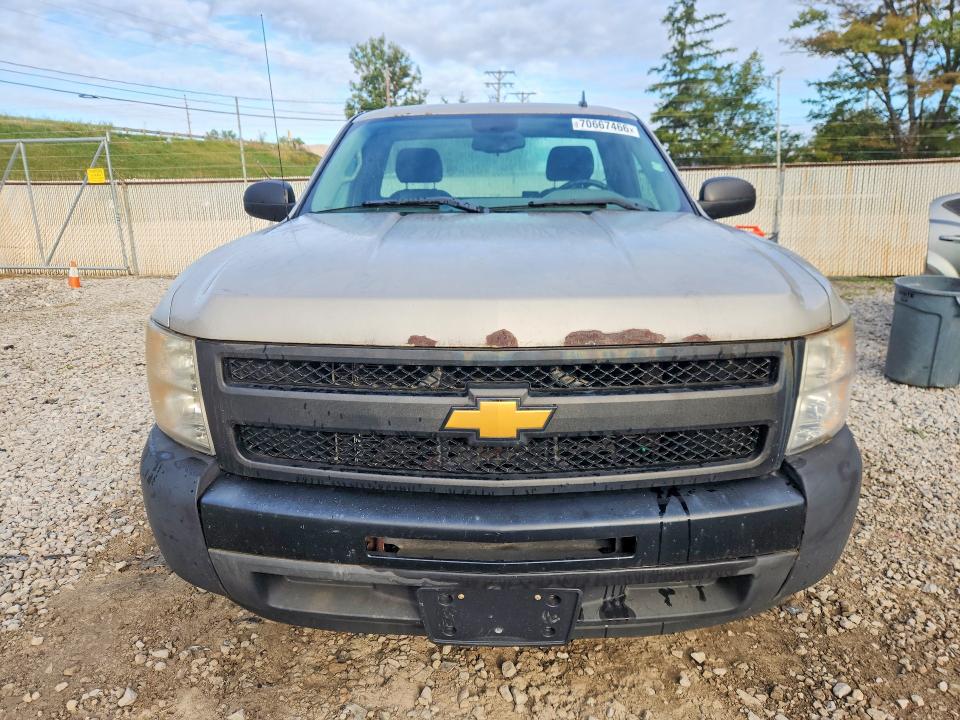 2009 Chevrolet Silverado მანქანა იყიდება აუქციონზე, vin: 1GCEC14XX9Z238523, აუქციონის ნომერი: 70667466