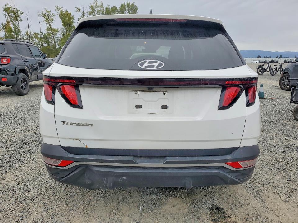 Продаж на аукціоні авто 2024 Hyundai Tucson, vin: 5NMJBCDE0RH298987, номер лоту: 69446616