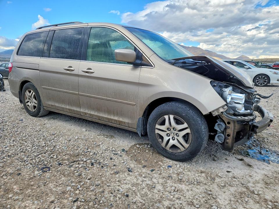 2005 Honda Odyssey მანქანა იყიდება აუქციონზე, vin: 5FNRL38765B132626, აუქციონის ნომერი: 69542956
