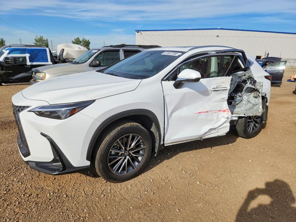 Auction sale of the 2026 Lexus Nx350, vin: 2T2GKCEZ7TC060204, lot number: 67467206