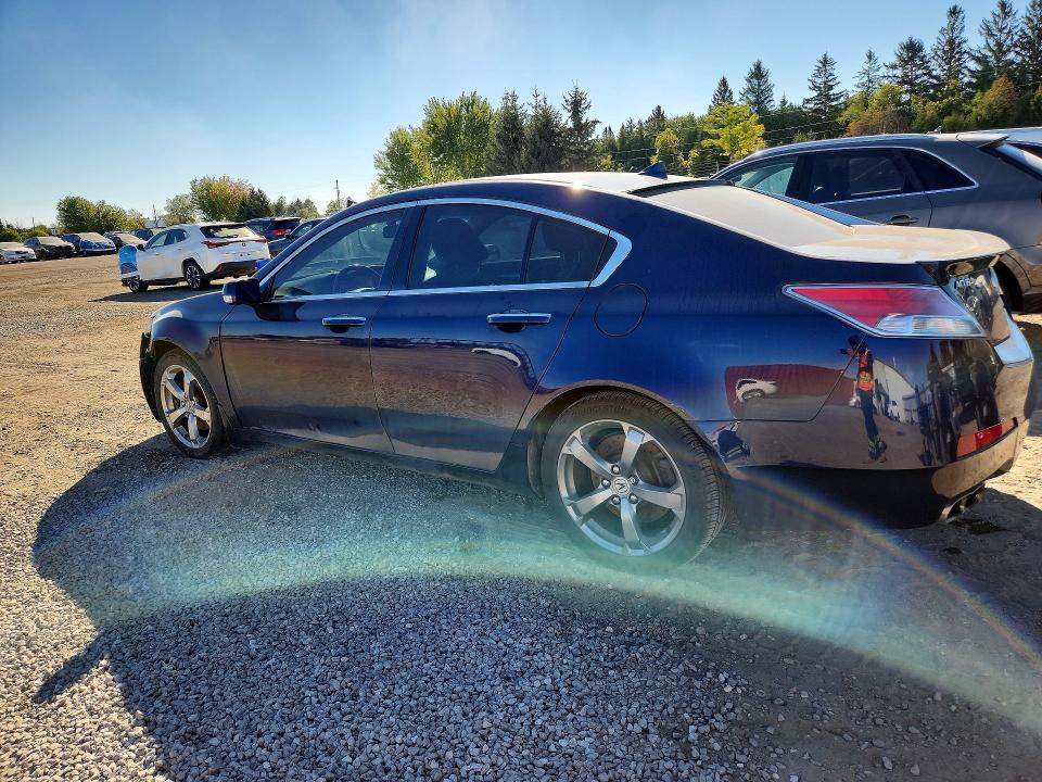 2011 Acura Tl მანქანა იყიდება აუქციონზე, vin: 19UUA9F50BA800043, აუქციონის ნომერი: 70227546