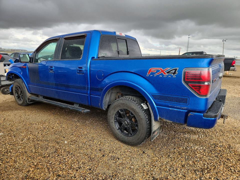 67499046 :رقم المزاد ، 1FTFW1ET3DFD42448 vin ، 2013 Ford F150 مزاد بيع