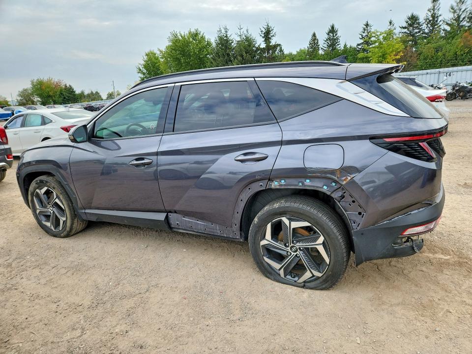2024 Hyundai Tucson მანქანა იყიდება აუქციონზე, vin: KM8JCCD1XRU137013, აუქციონის ნომერი: 66560596