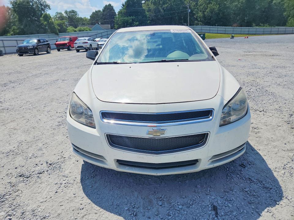67698946 :رقم المزاد ، 1G1ZG57N88F196014 vin ، 2008 Chevrolet Malibu مزاد بيع