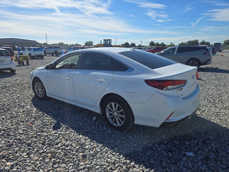 70307436 :رقم المزاد ، 5NPE24AF7KH819474 vin ، 2019 Hyundai Sonata مزاد بيع