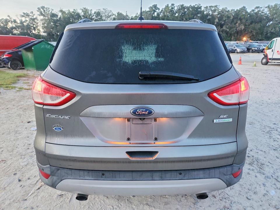 Продаж на аукціоні авто 2014 Ford Escape, vin: 1FMCU0G91EUD14211, номер лоту: 69014766