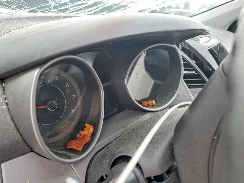 66940146 :رقم المزاد ، KMHDH4AE6EU103544 vin ، 2014 Hyundai Elantra مزاد بيع