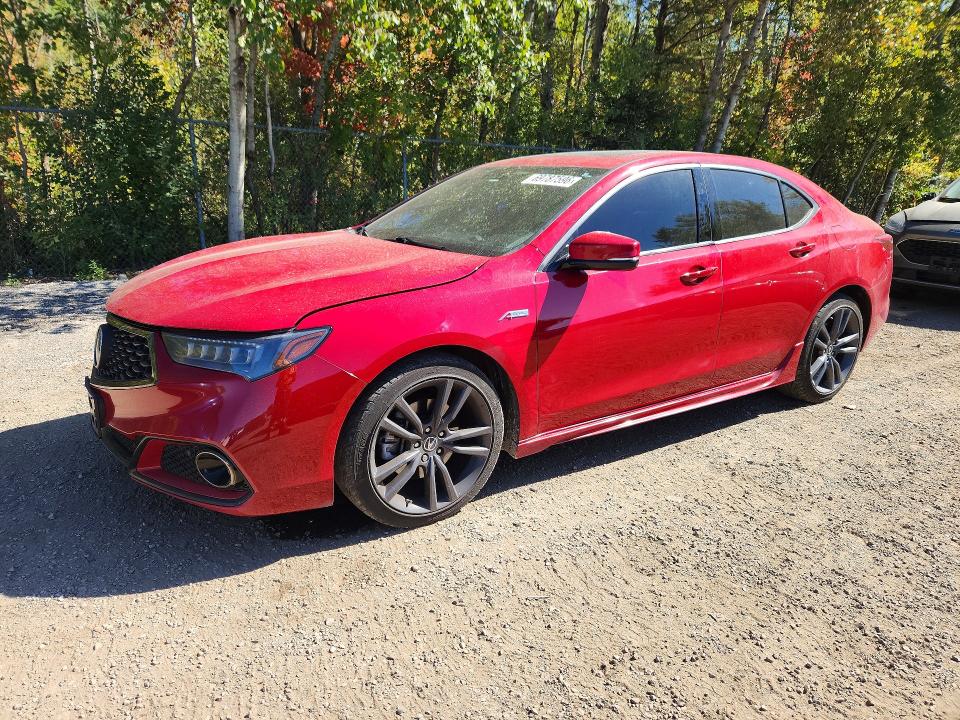 2019 Acura Tlx მანქანა იყიდება აუქციონზე, vin: 19UUB1F60KA800115, აუქციონის ნომერი: 69787596