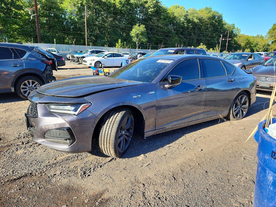 2023 Acura Tlx მანქანა იყიდება აუქციონზე, vin: 19UUB6F50PA006016, აუქციონის ნომერი: 68746976