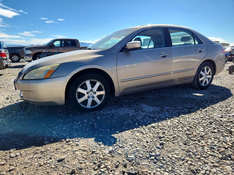 Продаж на аукціоні авто 2005 Honda Accord, vin: 1HGCM66545A031911, номер лоту: 69913996