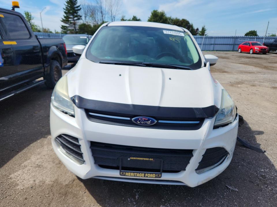 Продаж на аукціоні авто 2013 Ford Escape, vin: 1FMCU0GX5DUD26956, номер лоту: 67434806