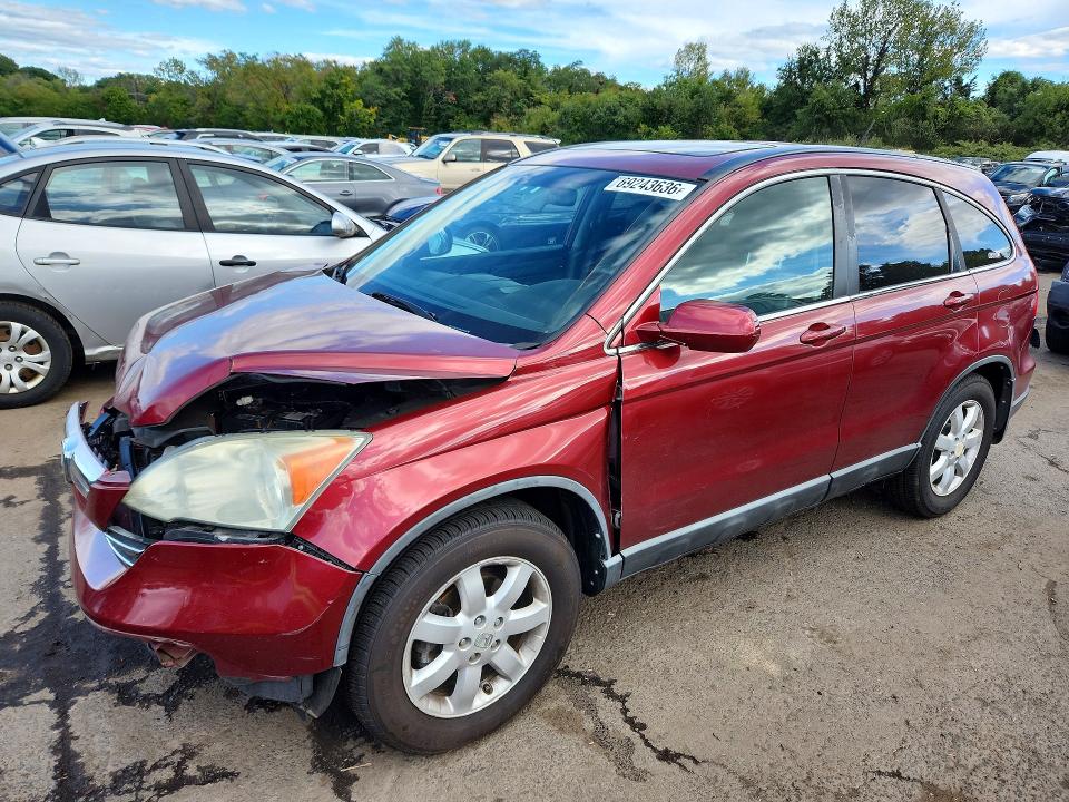 Продаж на аукціоні авто 2009 Honda Cr-v, vin: 5J6RE48789L024540, номер лоту: 69243636