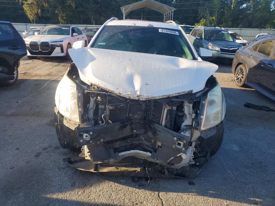 Продаж на аукціоні авто 2014 Cadillac Srx, vin: 3GYFNBE30ES635112, номер лоту: 67429096