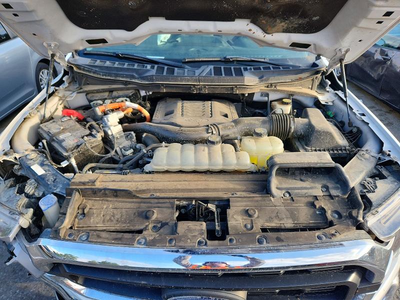 2023 Ford F150 მანქანა იყიდება აუქციონზე, vin: 1FTFW1ED3PFB78535, აუქციონის ნომერი: 69071756