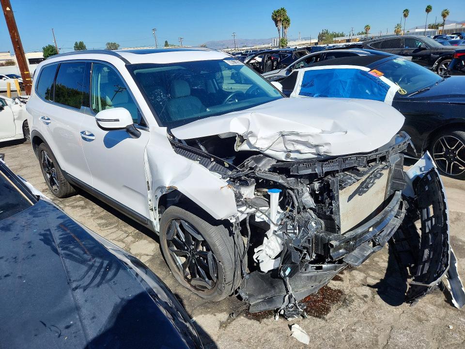 Auction sale of the 2025 Kia Telluride, vin: 5XYP6DGC5SG685324, lot number: 68673956
