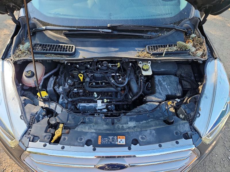 Продажа на аукционе авто 2019 Ford Escape, vin: 1FMCU0HD0KUC11716, номер лота: 69729646